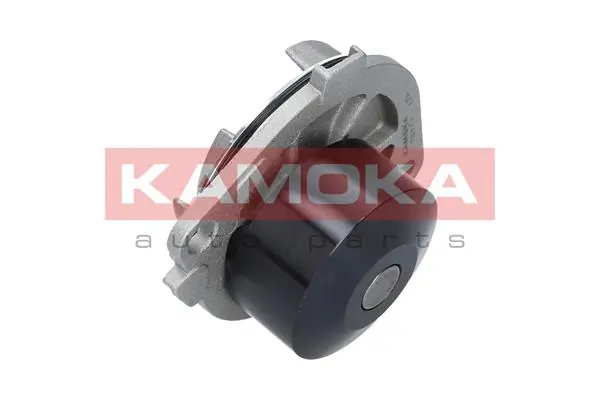 T0111 Kamoka Насос охолодження