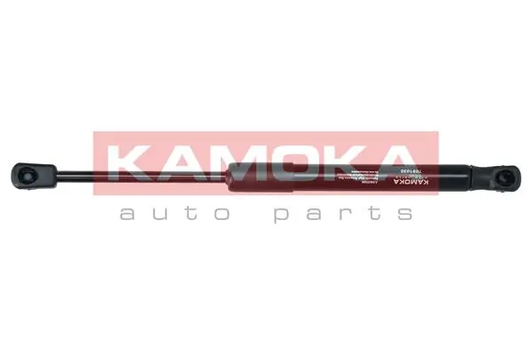 Стійка капота на BMW 5  F10