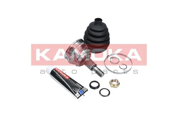 6680 Kamoka Граната зовнішня