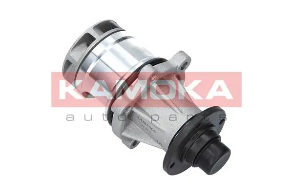 T0057 Kamoka Насос охолодження