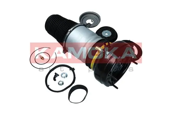  Kamoka 2079005 ціна, від 279.36 USD