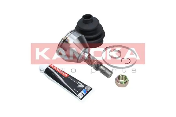 6013 Kamoka Граната зовнішня