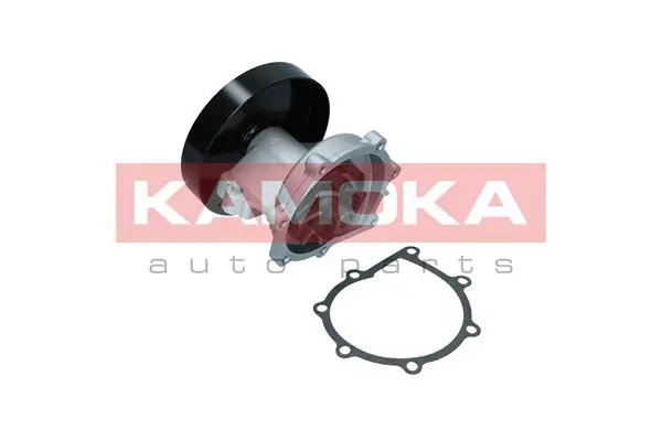 T0247 Kamoka Насос охолодження