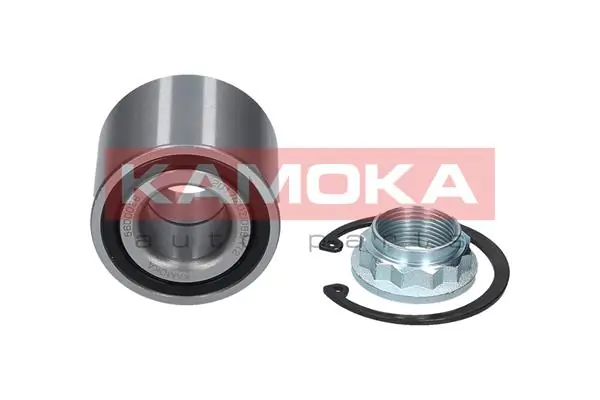 Підшипник задньої ступиці 192512KIT DTW