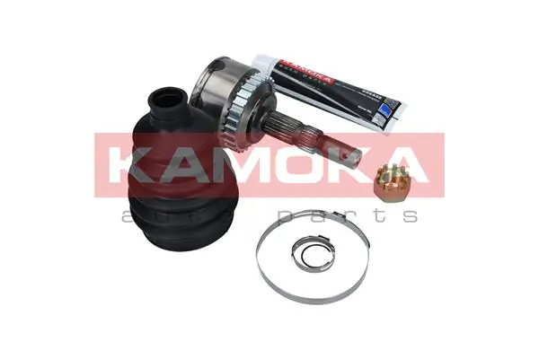 6029 Kamoka Граната зовнішня