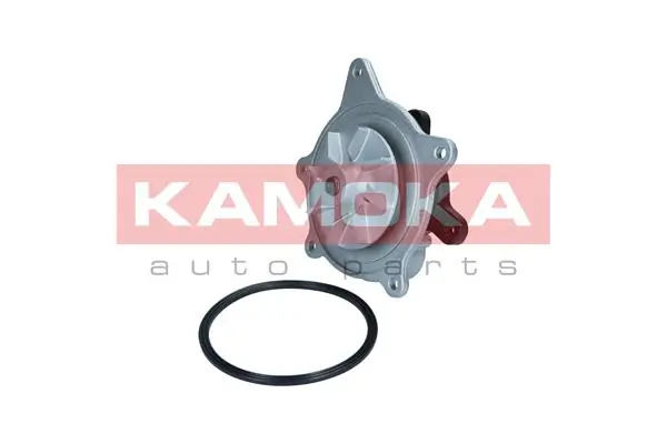 T0318 Kamoka Насос охолодження