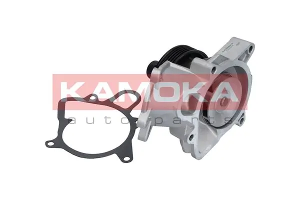 T0064 Kamoka Насос охолодження