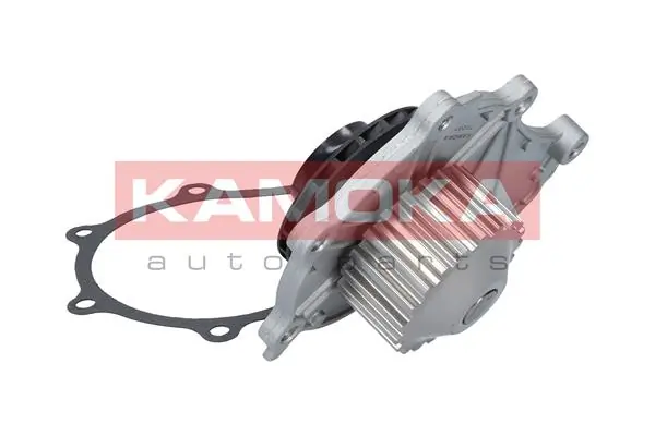 T0087 Kamoka Насос охолодження