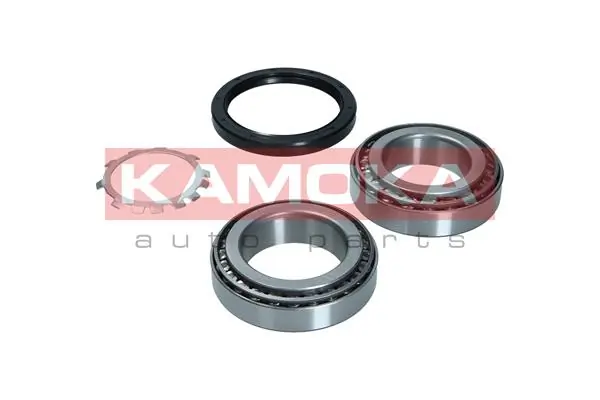 Купити 5600191 Kamoka Підшипник задньої ступиці