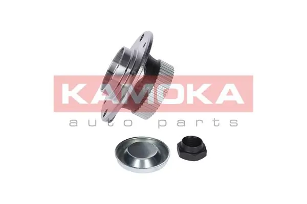 5500003 Kamoka Маточина задня