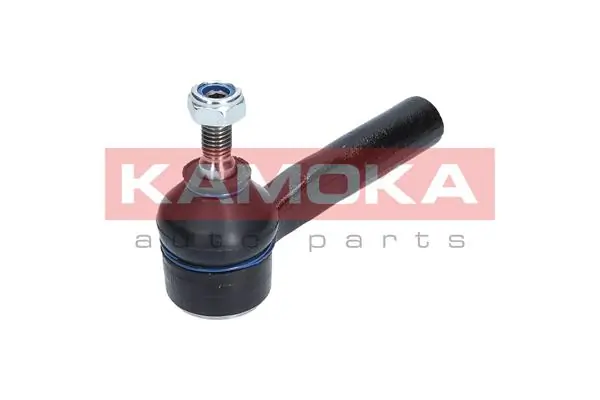 Рульовий наконечник 485204998R Renault (RVI)
