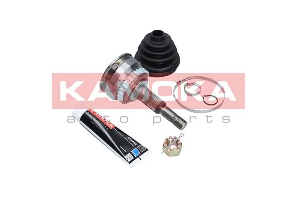 6956 Kamoka Граната зовнішня