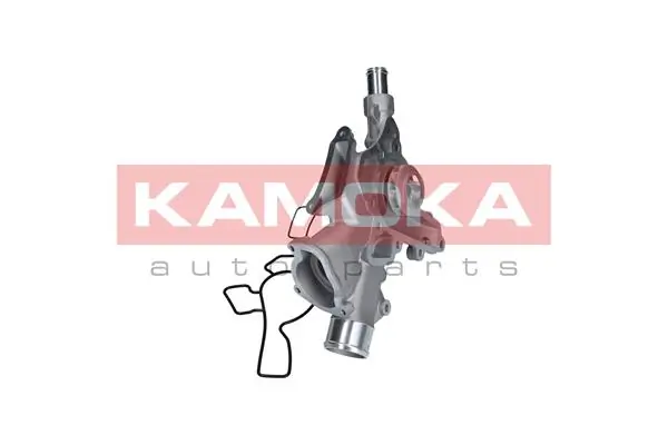 T0225 Kamoka Насос охолодження