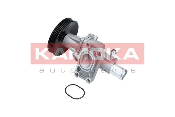T0276 Kamoka Насос охолодження