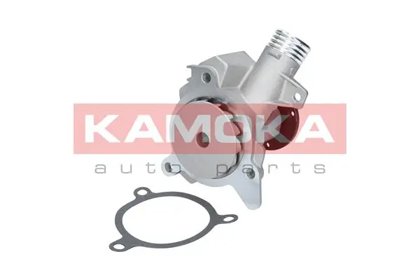 T0054 Kamoka Насос охолодження