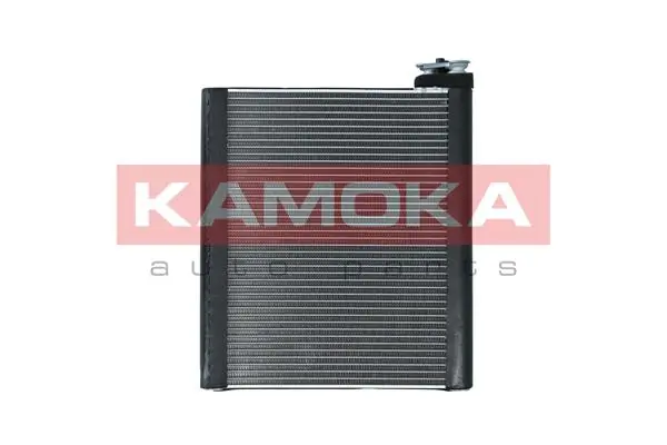 Випаровувач кондиціонера 8191P81 Polcar