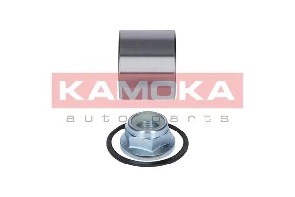 5600065 Kamoka Підшипник ступиці задньої