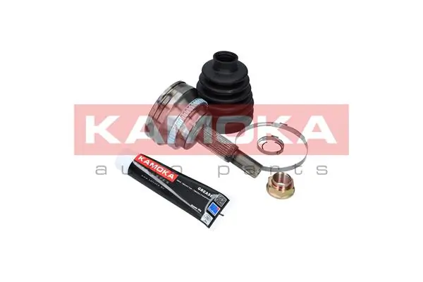 6109 Kamoka Граната зовнішня