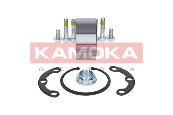 5600064 Kamoka Підшипник ступиці задньої