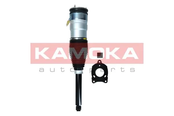 2070006 Kamoka Амортизатори задні