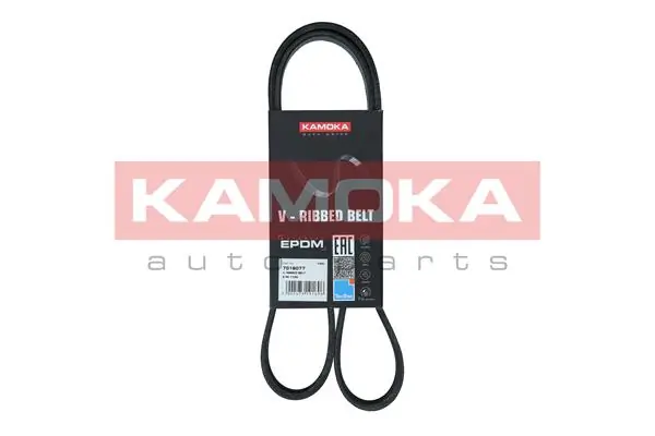 Купити 6PK1195 Glober Ремінь генератора