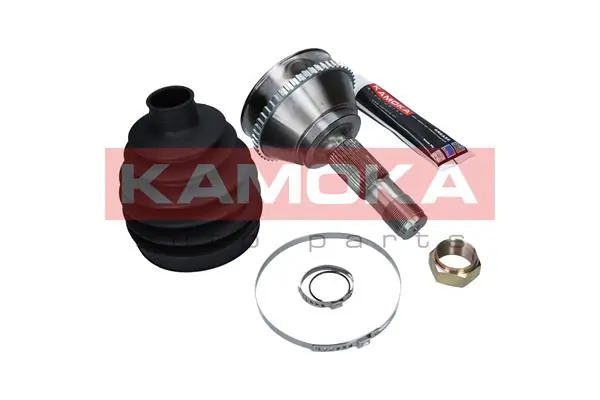 6508 Kamoka Граната зовнішня