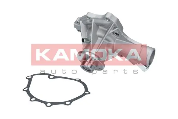 T0189 Kamoka Насос охолодження