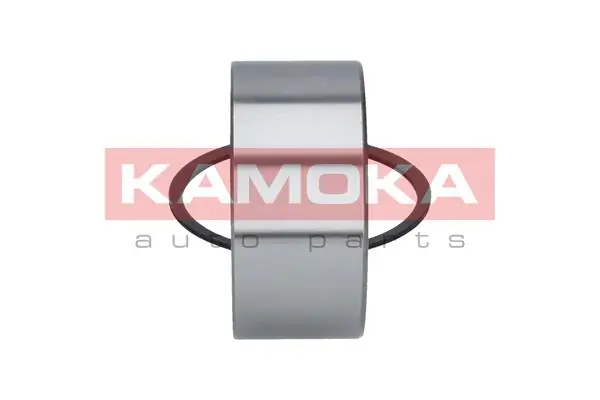 Купити 5600041 Kamoka Підшипник задньої ступиці