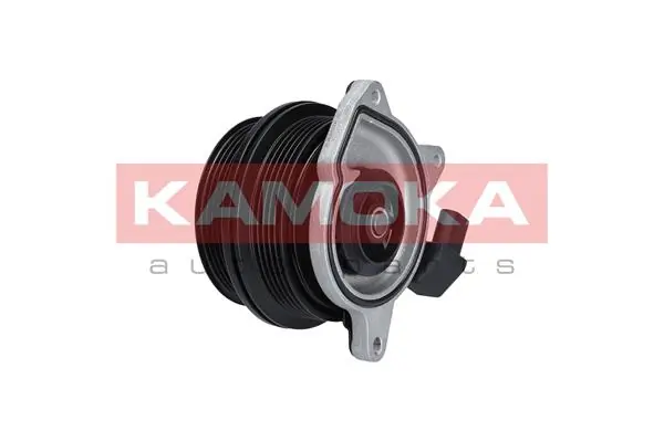 T0278 Kamoka Насос охолодження