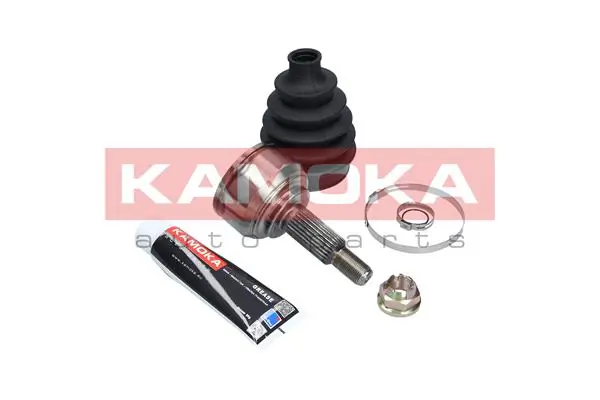 Купити ШРУС зовнішній передній Renault Scenic II JM0, JM1