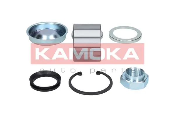 Купити 5600069 Kamoka Підшипник задньої ступиці