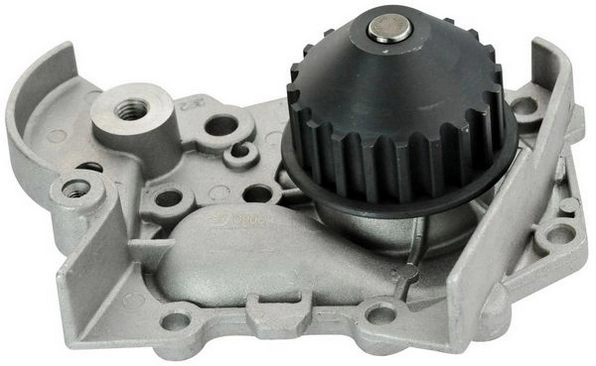 Купити Помпа Renault 19 II B53, C53