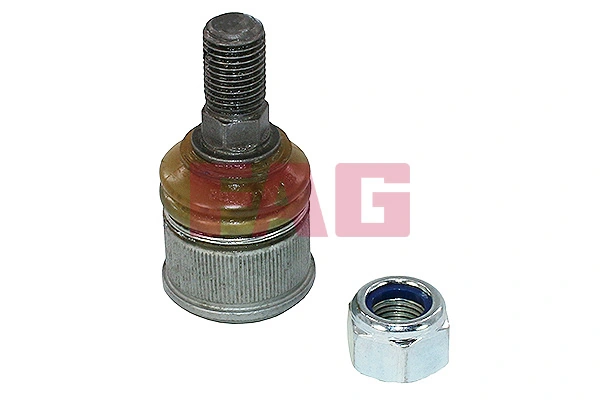 Кульова опора, нижня Magneti Marelli SSP1892 ціна, від 7.92 USD
