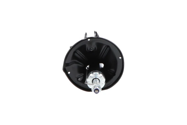 Амортизатор задній, правий Kavo Parts SSA3039 ціна, від 39.23 USD