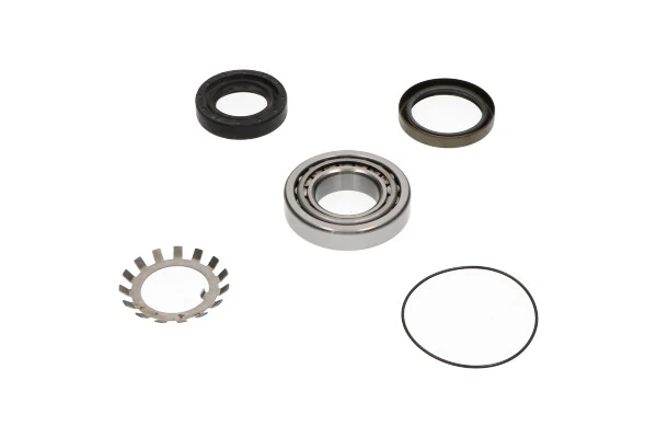 Купити WBK5508 Kavo Parts Підшипник задньої ступиці