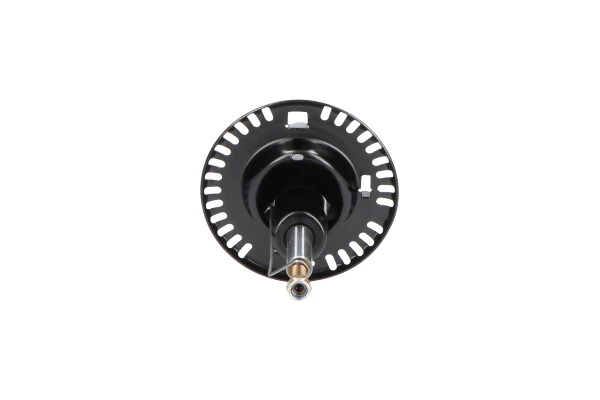 SSA10262 Kavo Parts Стійка передня