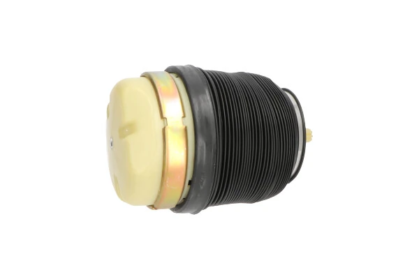 Пневморессора задня Kavo Parts SAS10009 ціна, від 176.86 USD