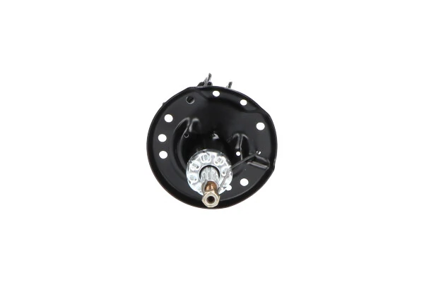 Амортизатор передній, правий Kavo Parts SSA10003 ціна, від 43.77 USD