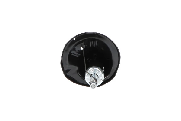 Стойка амортизатора передняя Kavo Parts SSA5509 ціна, від 58.22 USD
