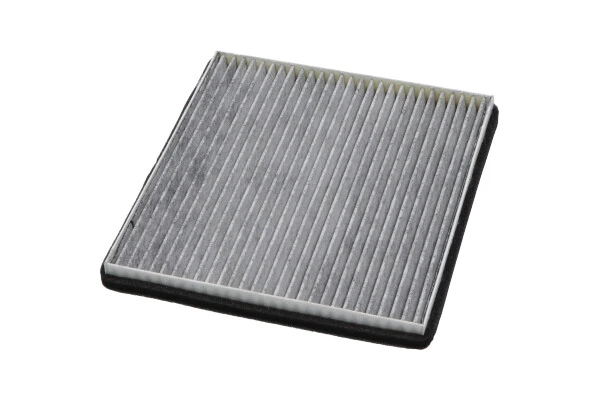 TC1006C Kavo Parts Внутрішньосалонний фільтр