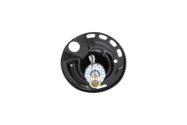 Амортизатор передній, правий Kavo Parts SSA9046 ціна, від 47.04 USD