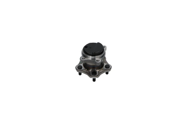 WBH6546 Kavo Parts Маточина задня