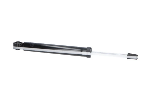 Амортизатор задній Raiso RS233374 ціна, від 22.13 USD