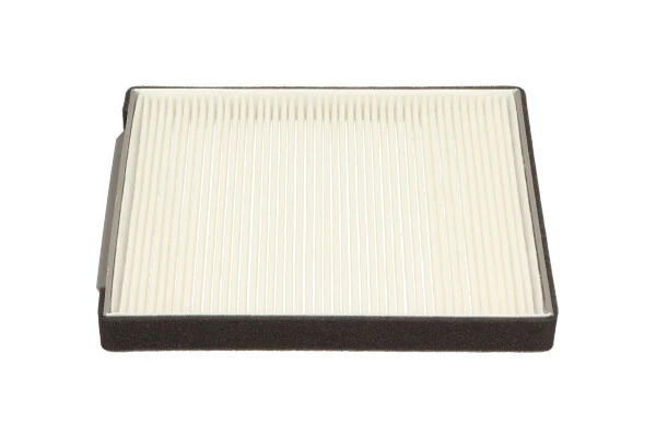 Купити HC8206 Kavo Parts Фільтр салону вугільний