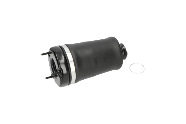 Пневмоподушка/Пневморессора моста переднього Kavo Parts SAS10004 ціна, від 161.89 USD