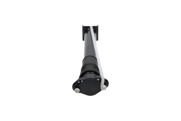 Амортизатор задній Kavo Parts SSA10301 ціна, від 65.18 USD