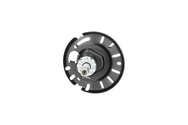 Стойка амортизатора передняя Kavo Parts SSA10080 ціна, від 52.95 USD
