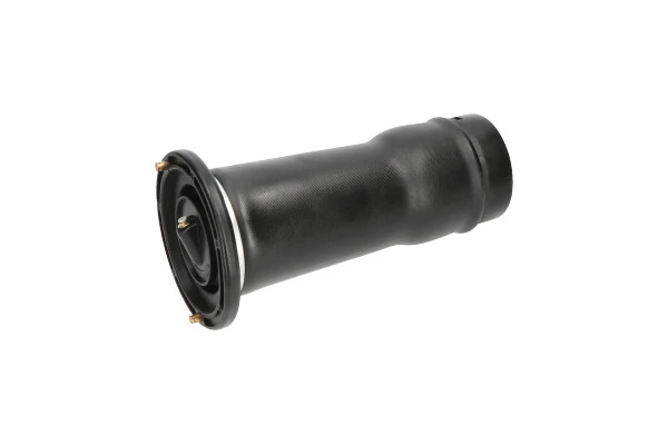 Пневморессора задня Kavo Parts SAS10025 ціна, від 133.42 USD