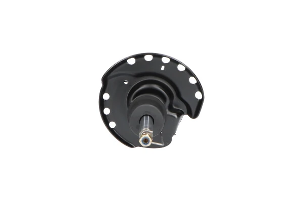 Амортизатор передній, правий Kavo Parts SSA10144 ціна, від 47.28 USD