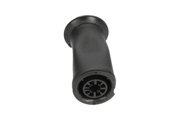 SAS10005 Kavo Parts Пневмоподушка/пневморессора моста заднього